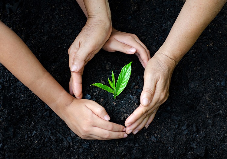 The Grow-Gather-Gift Model for Decriminalizing Entheogenic Plants and Fungi - DecriminalizeNature.org